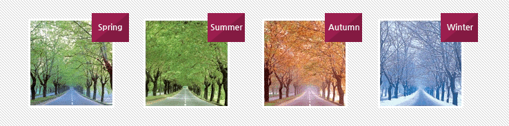 Spring,Summer,Autumn,Winter photo