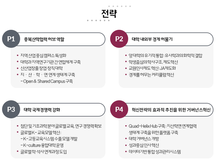 전략 : P1. 충북산학협력 허브 역할(지역 산업 중심 캠퍼스 특성화, 대학과 지역연구기관 간 연합체계 구축, 신산업창출 창업·창직 대학, 지식학연 연계 생태계 구축(Open & Shared Campus 구축)), p2.대학 내외부 경계 허물기(양 대학의 유기적 통합 : 유사학과의 화학적 결합, 학생줌심의 학사구조, 제도혁신, 교원인사제도 혁신 : JA제도화, 경계를 허무는 커리큘럼 혁신), p3.대학 국제경쟁력 강화(첨단 및 기초과학 분야 글로벌 교육, 연구 경쟁력 확보 ,글로벌 K- 교육모델 혁신(K-고등교육시스템 수출 모델 개발, K-culture 융합대학 운영 ),글로벌 학·석사 연계과정 도입)/ p4.혁신전략의 효과적 추진을 위한 거버넌스혁신(Quad-Helix Hub 구축 : 지산학연 연계협력 생태계 구축을 위한 플랫폼 구축, 대학 거버넌스 개방, 성과중심 인사 혁신, 데이터기반 통합 성과관리시스템)