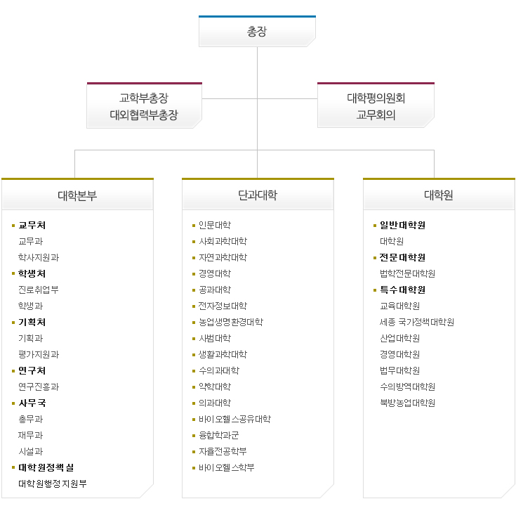 조직도 이미지