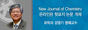 화학과 강영기 명예교수, 영국왕립화학회 전문학술지 온라인판 뒷표지 장식의 사진