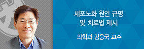 의학과 김응국,신은영 교수 연구팀, 세포노화 원인 규명 및 치료법 제시의 사진